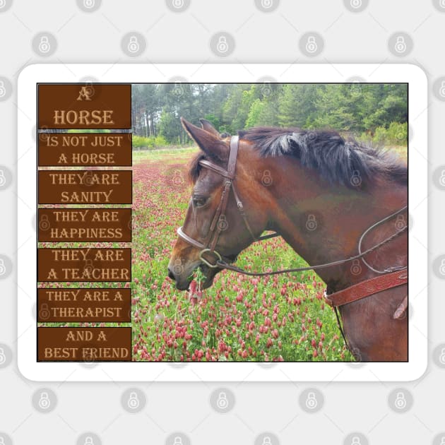 What is a Horse Sticker by DickinsonDesign